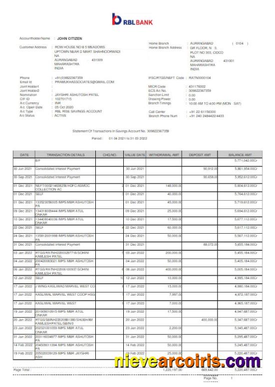 India RBL bank statement Word and PDF scr